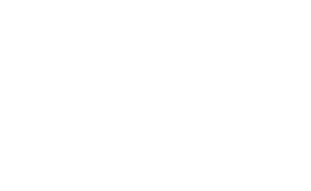 Modul Projekte